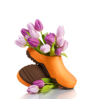 Tulpen-Schuhe